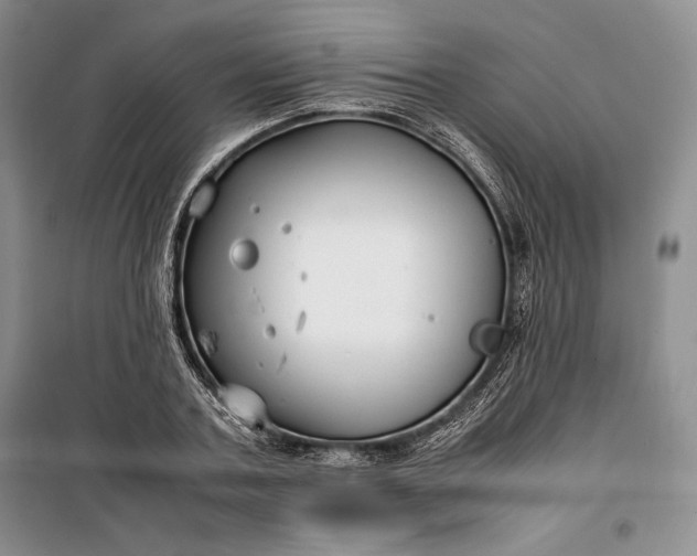 X0000100190787200806131206