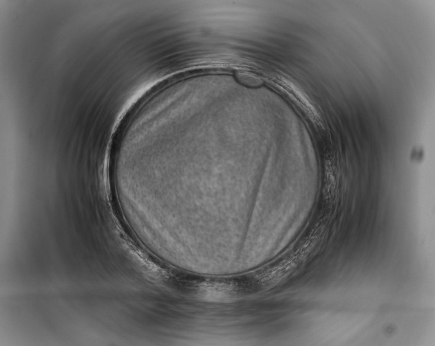 X0000100190788200806131206