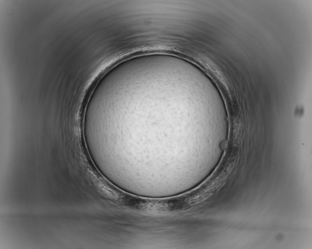 X0000100190789200806131206