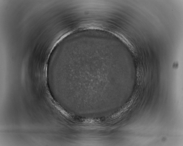 X0000100190790200806131206