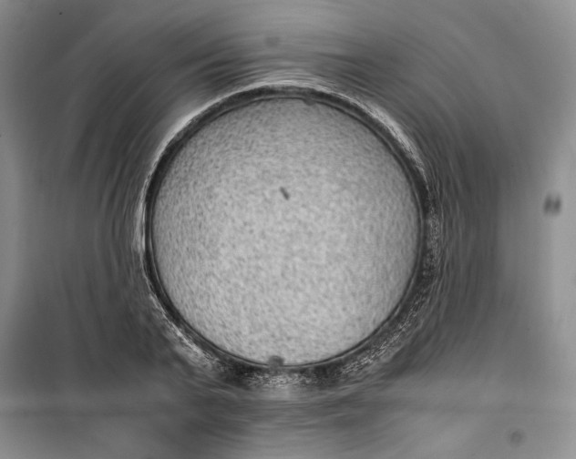 X0000100190791200806131206