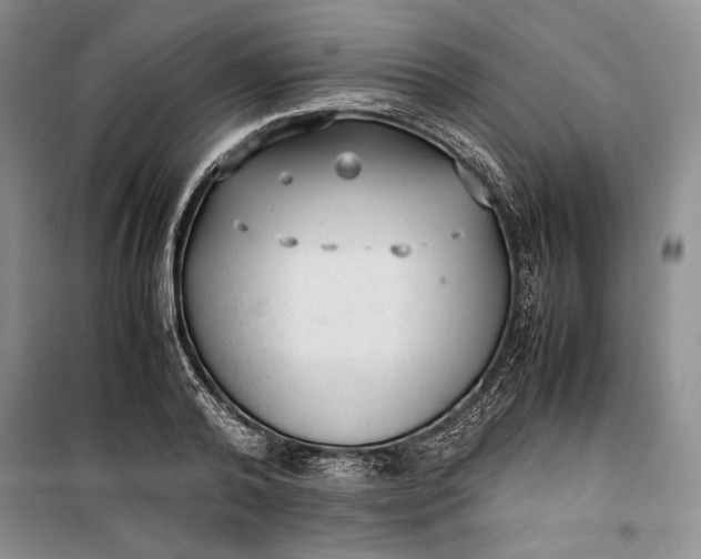 X0000100190792200806131206