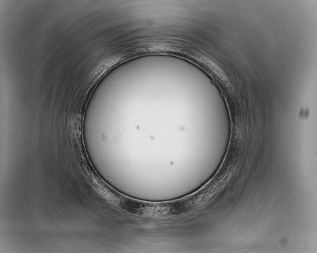 X0000100190793200806131206