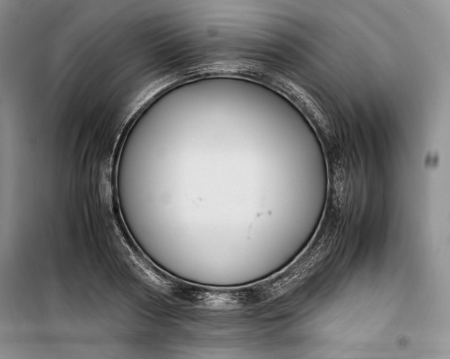 X0000100190794200806131206