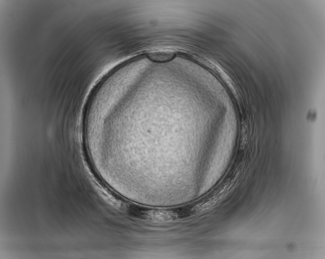 X0000100190795200806131206