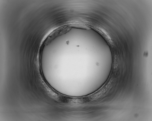 X0000100190796200806131206