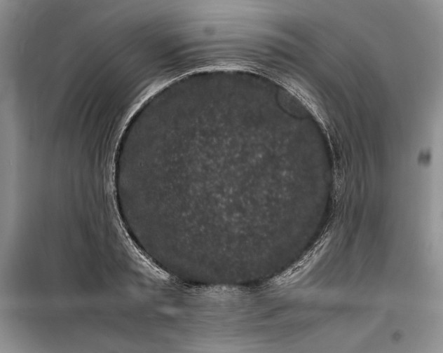 X0000100190797200806131206