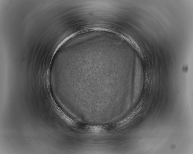 X0000100190798200806131206