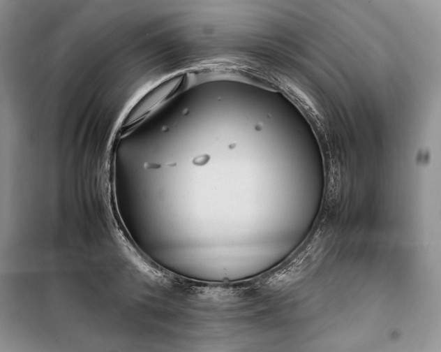 X0000100190800200806131206