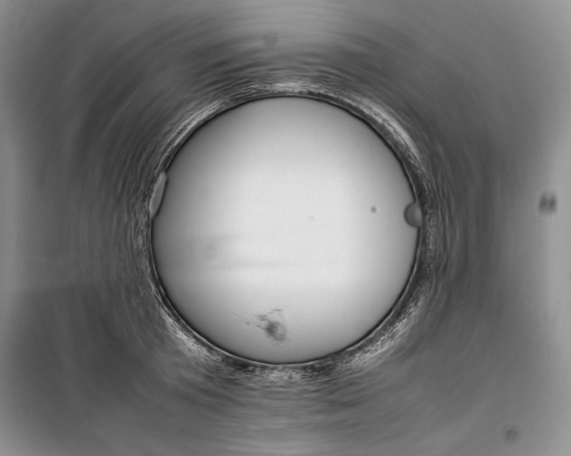 X0000100190801200806131206