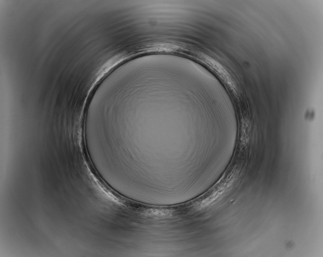 X0000100190802200806131206