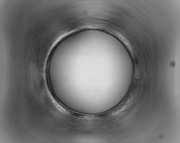 X0000100190803200806131206