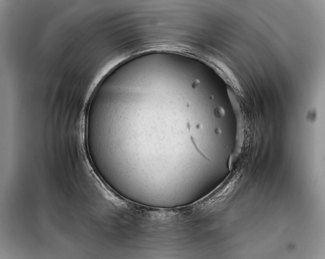 X0000100190804200806131206