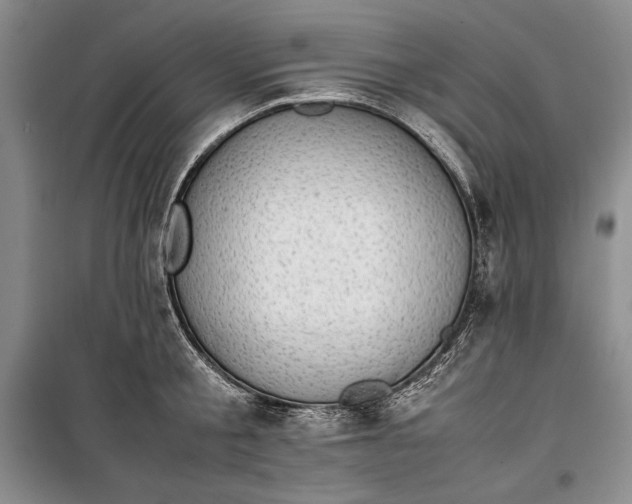 X0000100190805200806131206