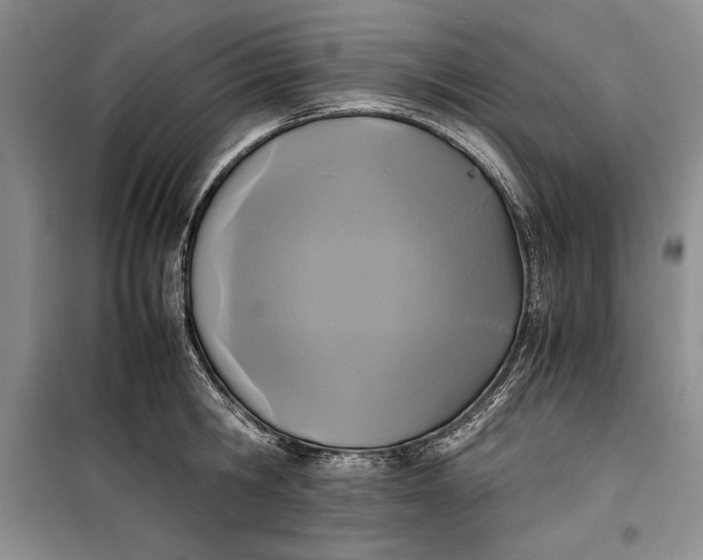 X0000100190806200806131206