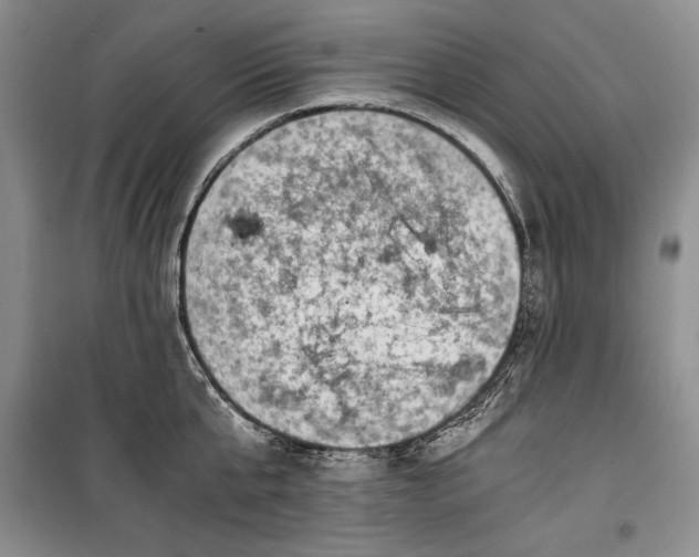 X0000100190807200806131206