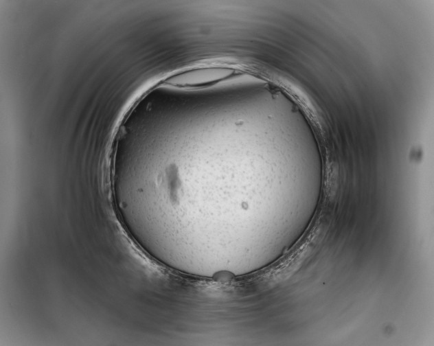 X0000100190808200806131206