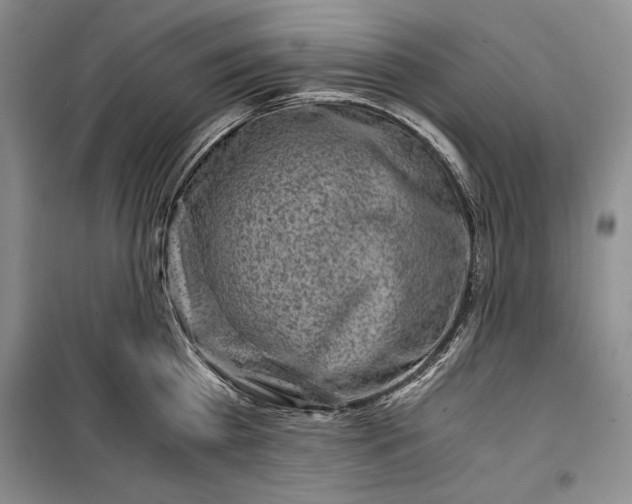 X0000100190809200806131206