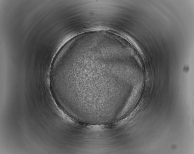 X0000100190810200806131206