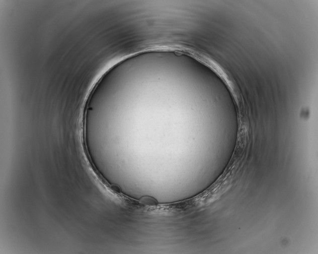 X0000100190811200806131206