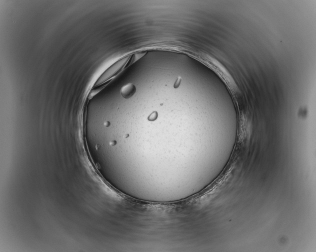 X0000100190812200806131206