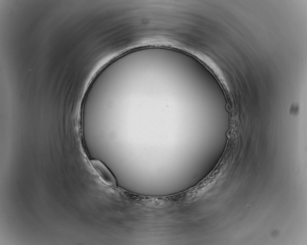 X0000100190815200806131206