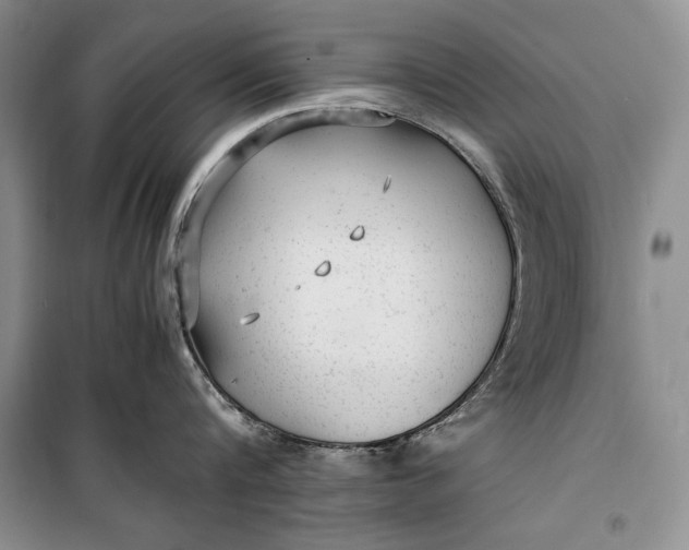 X0000100190816200806131206