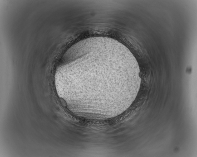 X0000100190817200806131205