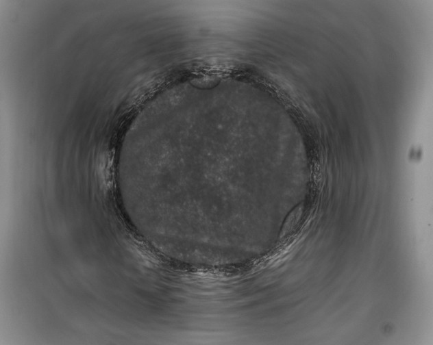 X0000100190818200806131205