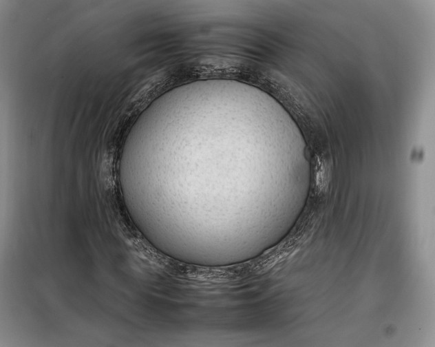 X0000100190819200806131205