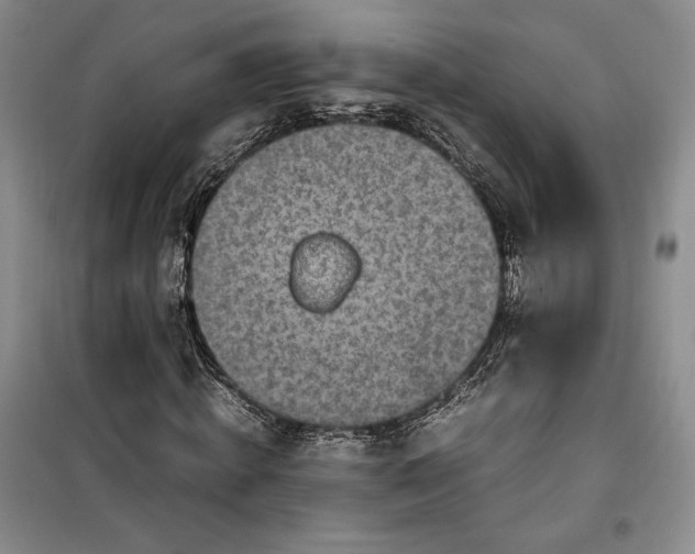 X0000100190820200806131205