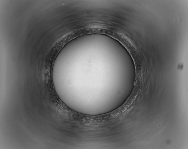 X0000100190821200806131205