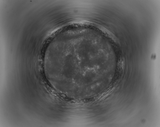 X0000100190822200806131205