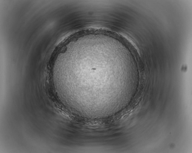 X0000100190823200806131205