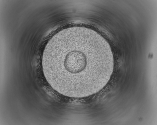 X0000100190824200806131205