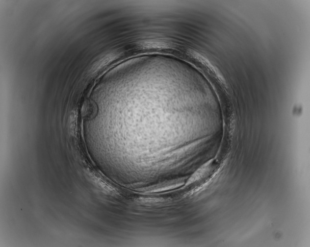 X0000100190825200806131205