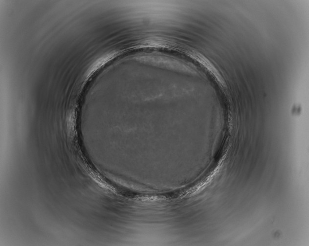 X0000100190826200806131205