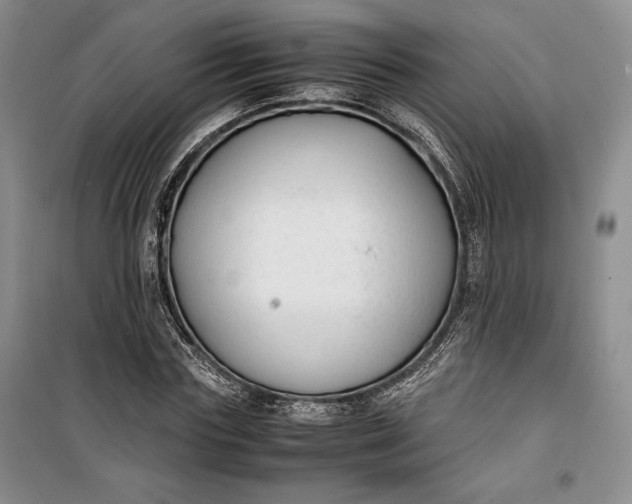 X0000100190827200806131205