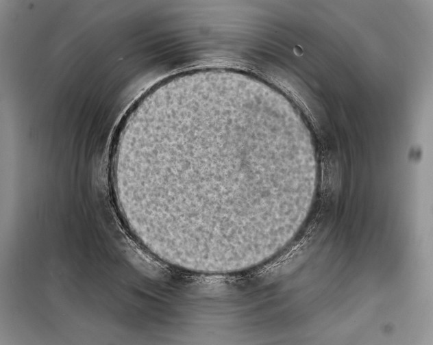 X0000100190828200806131205