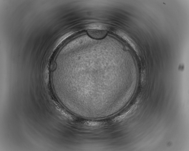 X0000100190829200806131205