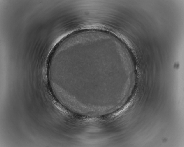 X0000100190830200806131205