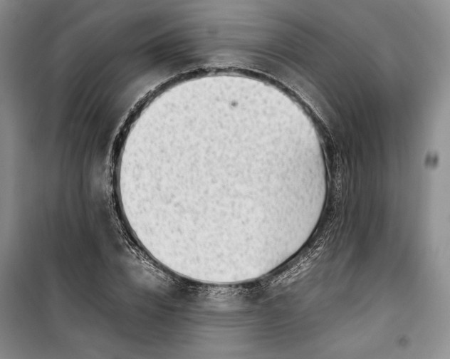 X0000100190832200806131205