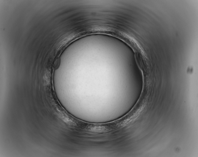 X0000100190833200806131205