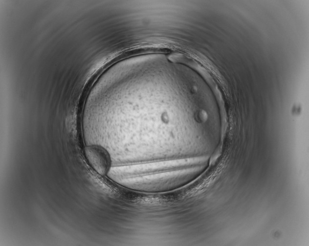 X0000100190834200806131205