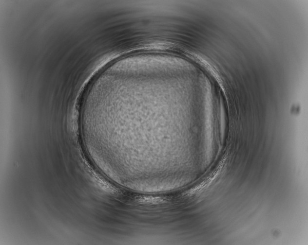 X0000100190835200806131206