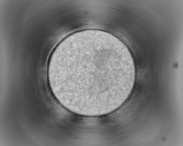 X0000100190836200806131206