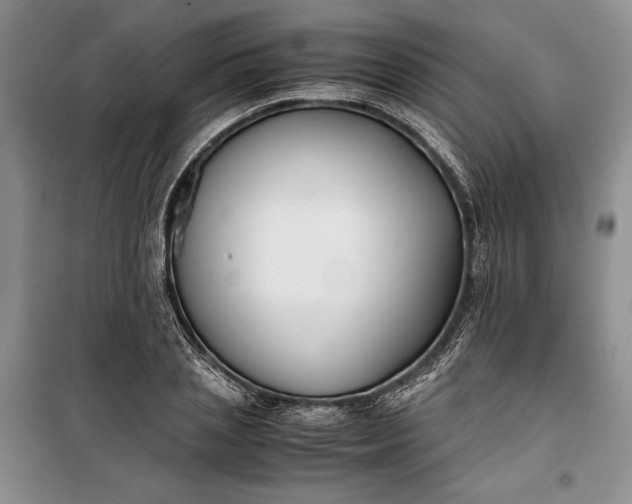 X0000100190837200806131206