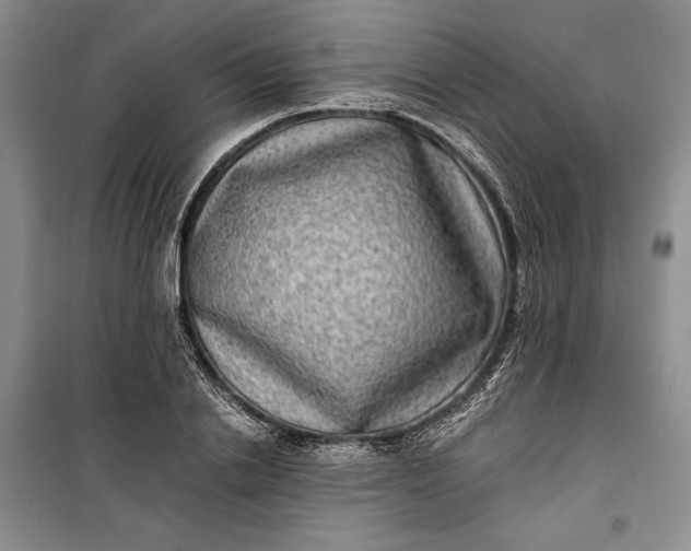 X0000100190838200806131206