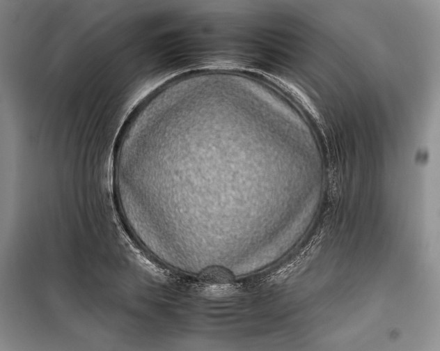 X0000100190839200806131206