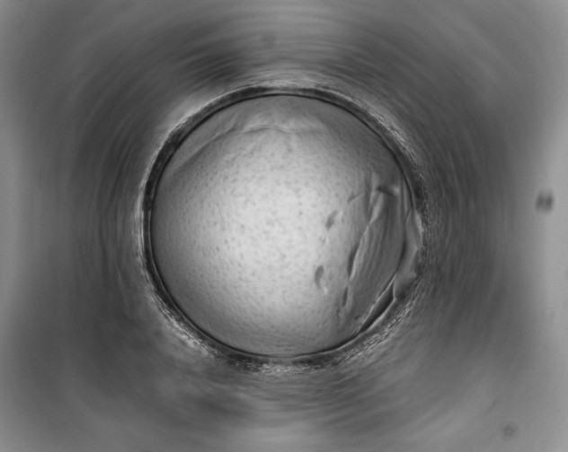 X0000100190840200806131206